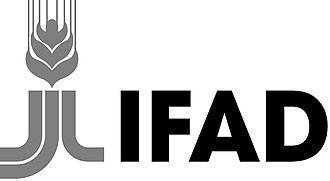 International Fund for Agricultural Development logo