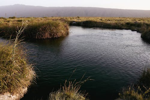 Natural protected spring surrounded by grassland and mountains